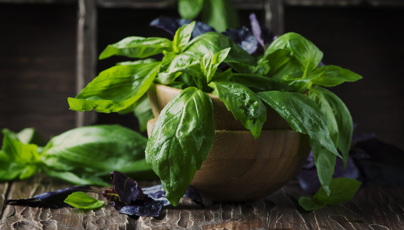 About Basil